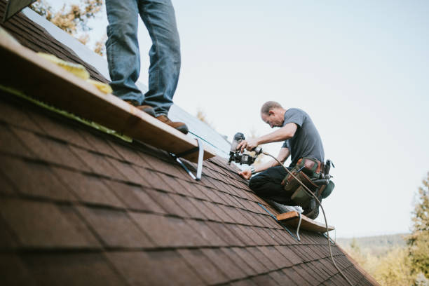 Roof Gutter Cleaning in Cricket, NC